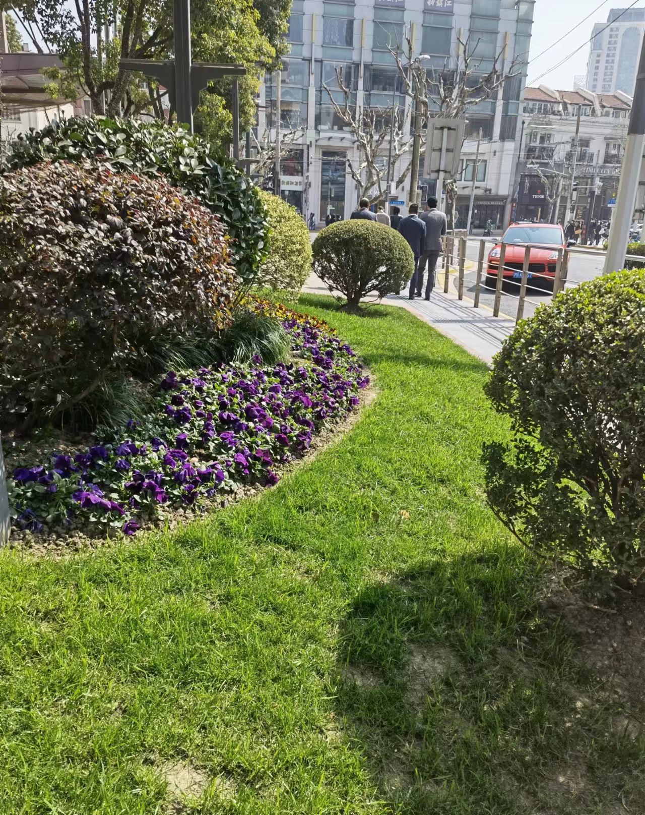 綠植租賃的的優(yōu)點，三分鐘帶您了解【最新更新】